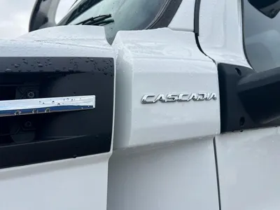 2022 Freightliner Cascadia Day Cab 6x4 Hardox tipper with 175033 kms photo 23